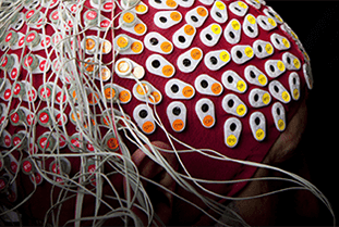 Marcs research - Biosemi EEG, EEG cap  