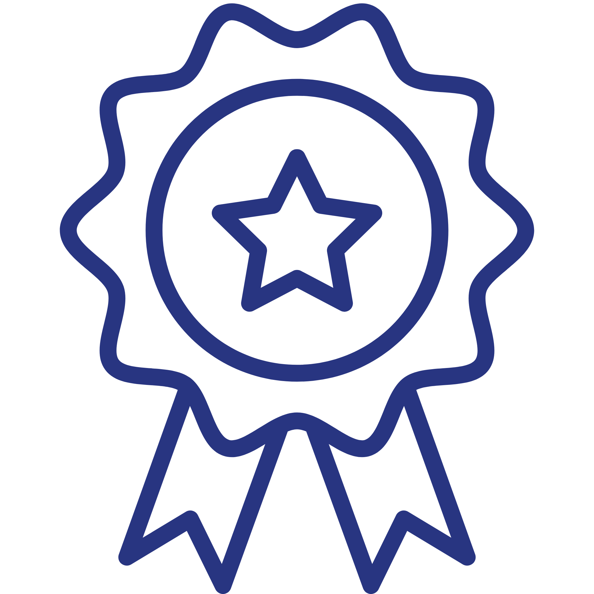 Icon of rosette with star in centre
